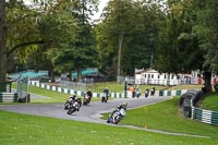 Middle Group White Bikes